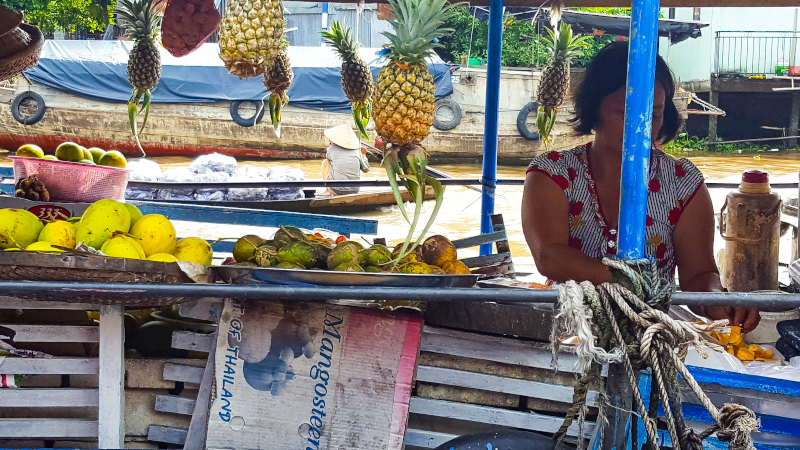 Delta del Mekong Cai Be e Can Tho - Cosa vedere e come arrivare