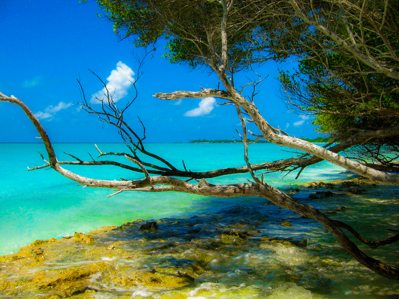 Maldive guest house e resort economici