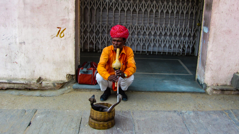 Quando andare in India