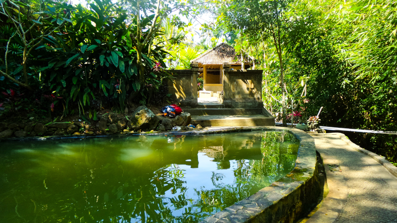 Safari Bali tra foreste e cascate