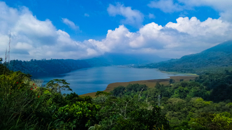Safari Bali tra foreste e cascate
