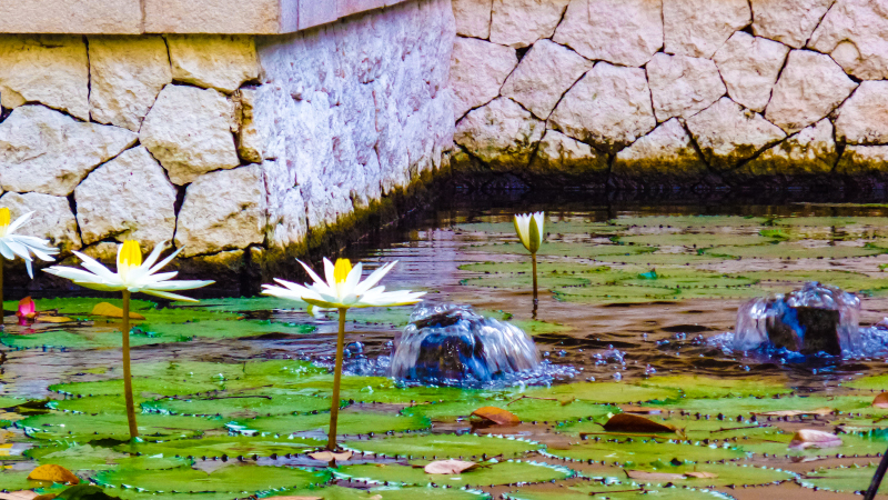 Ubud-Bali-cosa-vedere-consigli-di-viaggio