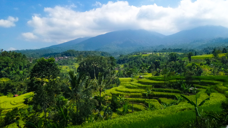 Ubud-Bali-cosa-vedere-consigli-di-viaggio
