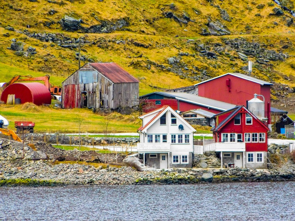Crociera sui fiordi: da Flåm a Gudvangen come farla