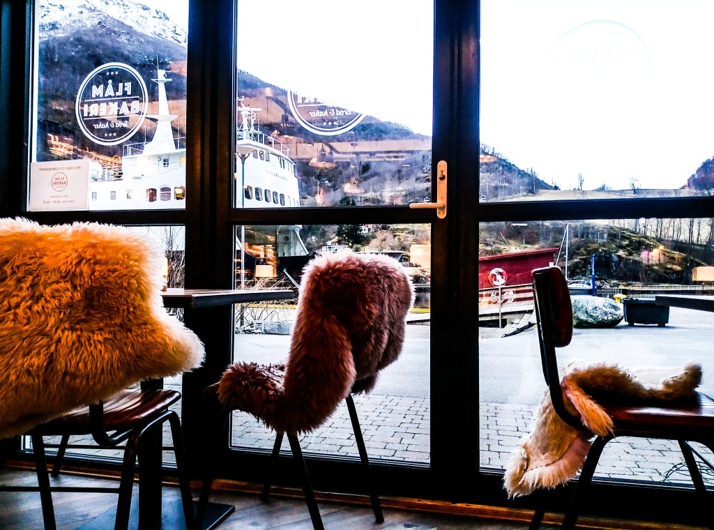 Da Oslo a Flåm in autobus