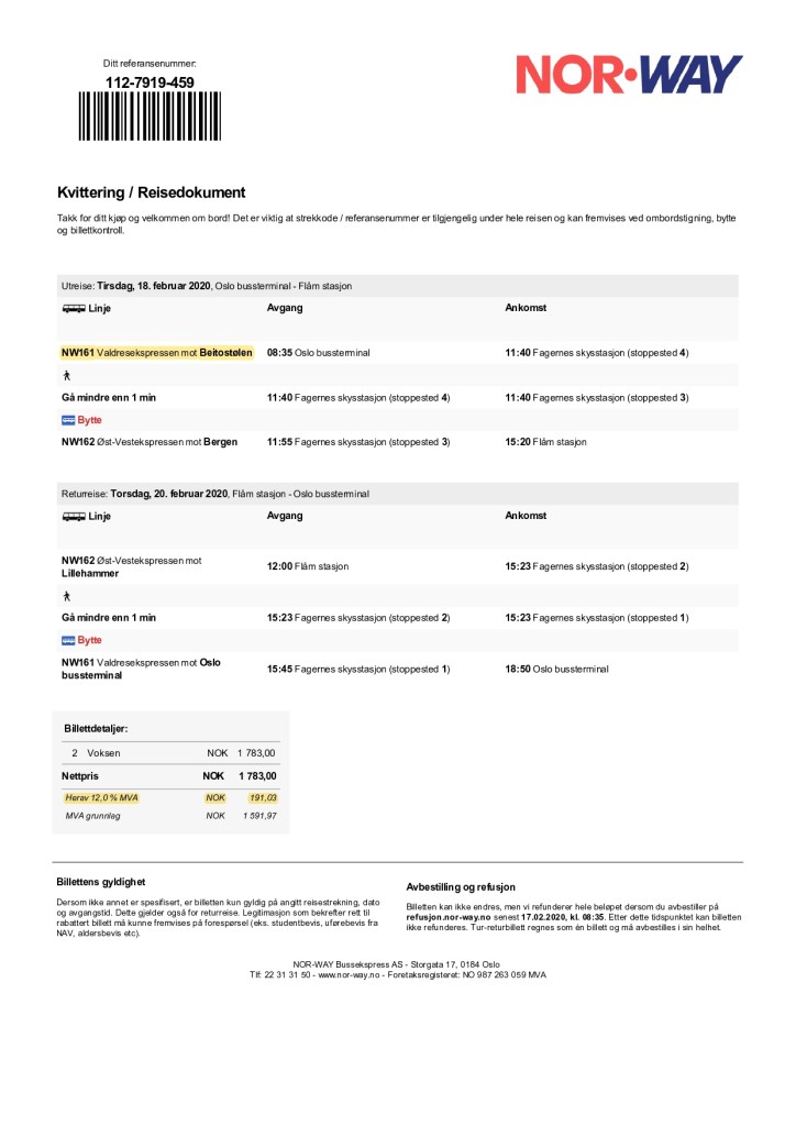 Da Oslo a Flåm in autobus