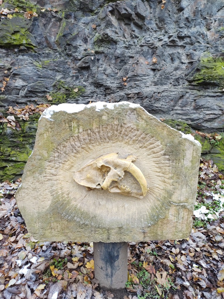 Fotografia di Consigliviaggiasia